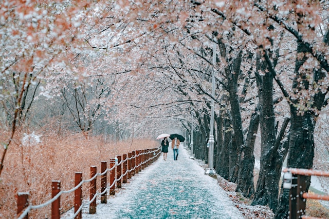 Korea